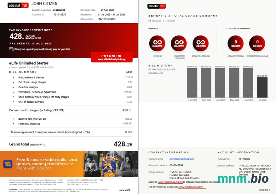 Szablon rachunku za media ZEA Etisalat w formatach Word i PDF, 2 strony, Wersja 3